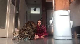 Baby and Momma Play catch with there Bengal Cat Ella during their morning routine