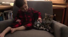 Baby Toddler cuddles his bengal cat Albus during his bedtime routine