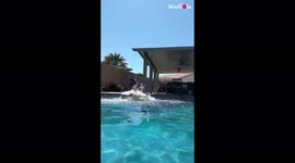 'This guy jumped into a pool a different way EVERY DAY for 3 MONTHS *Compilation of the best jumps* 
'