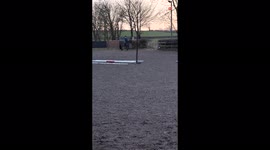 'Naughty pony shrugs off rider and NEARLY runs over instructor '