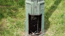 Pareidolia in Paris suburb, Arcueil, France. Streelight. Parc Paul Vaillant Couturier. 19 may 2022