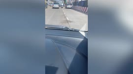 Driver shocked after mouse falls onto moving car's windshield
