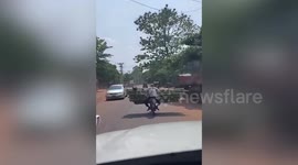 Motorcycle rider balances bundle of bamboo poles in front of him