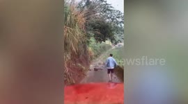 Driver stops to clear rocks blocking road... seconds before LANDSLIDE almost buries him alive