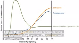 Earliest Signs & Symptoms Of Pregnancy |Am I Pregnant? |Pregnancy Signs & Symptoms