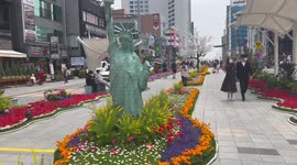 Haeundae’s culture street turned into a flower oasis