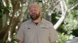 Giraffe learns to walk with help of specially made leg braces