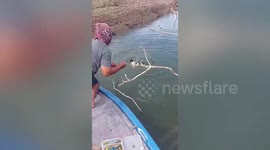 Hero fisherman saves stray dog trapped in discarded net in dam