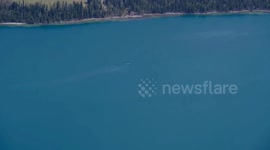 Locals bemused after footage appears to show large unknown creature in Chinese lake