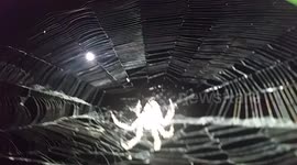 Spinning the Super Moon