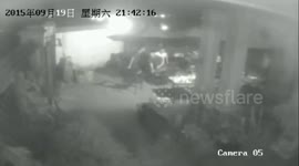 Wild boar invades tourist beach in southern China
