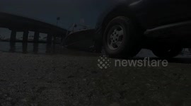 seal attacks man