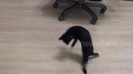 Little Eva: Chasing Tail