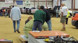 Topsfield Fair Giant Gourd