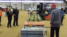 Topsfield Fair Field Pumpkin Contest