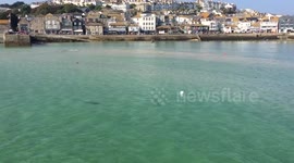 Watching the wildlife and seals in St Ives bay on beautiful winter day in Cornwall