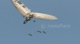 Ornithologist gets geese to fly with him