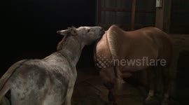 You scratch my back....