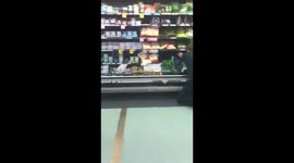 Possum causes havoc in Australian supermarket