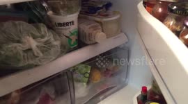 Cooking an egg - twice!