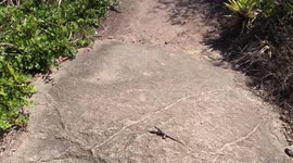 Contemplate the beautiful view of Paulo Cesar Vinha State Park, located in the city of Guarapari - ES