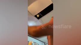 Pet cat rescued after being found trapped in ceiling in Taiwan