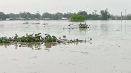 Locals wade through waist-deep water after floods inundate north India's Assam