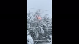 US: Power Lines Catch Fire Amid May Snowstorm Hitting Colorado Springs