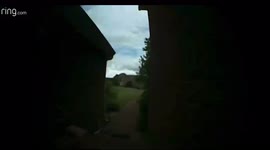 Spider crawling across camera lens