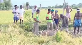 A cow struck in muddy water was rescued with wooden logs safely  in South India