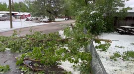 US: Tree Branches Give In To Weight Of Snow After Late May Snowstorm In Colorado