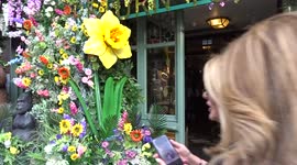 Spring colours of The Ivy Asia Chelsea flower installation and fun music animal sculptures