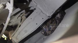 Elusive python stumps snake wrangflers after crawling inside pickup truck's engine