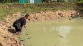 Man hilariously belly flops in pond trying to catch fish with hands