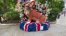 Chelsea In Bloom flower display show, London, UK