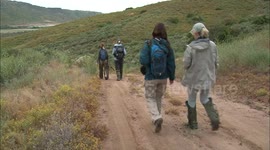 Why Restoring Cacti Is Incredibly Important After a Wildfire