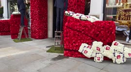 Chelsea In Bloom flower display show, London, UK