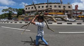 Sri Lanka is running out of food, medicine, gas, and money due to economic crisis