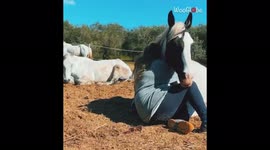 'Woman shares a super adorable, warm hug with her pet horse '
