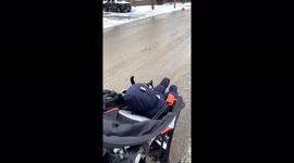 ''PEAK RANDOMNESS* Cat casually jumps into a stranger's stroller '