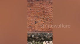 Snake slithering along brick wall resembles 3D version of classic mobile game