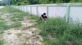 Kind villagers rescue stray dog with metal tin stuck on its head
