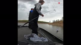Hatfish haul! Fisherman accidentally reels in friend's cap