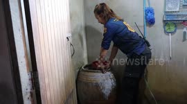Large rat snake pulled out from behind water barrel in woman's house in Thailand