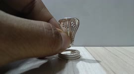 This video contains a silver snake item used for religious purpose in India