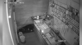 Thief sneaks inside mobile shop, steals gadgets in western India