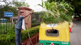 Motorist builds garden on wheel by planting crops on car roof