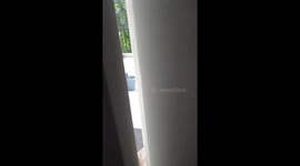 Purring cat peering through door while rubbing head and neck on door frame, so cute...