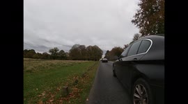 BMW hit and run on the road in Richmond Park, London