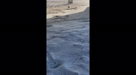 'Love wins as woman records her mother-in-law saying yes to her partner's proposal'